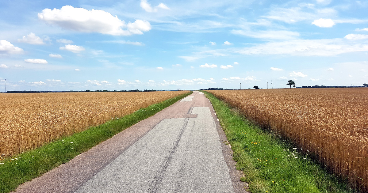 The Hoby Road on the way to the village Västra Hoby north of Lund