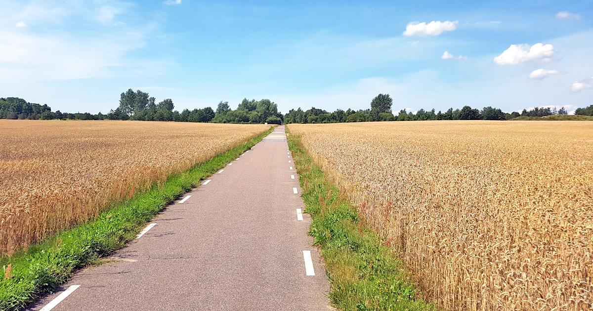 The cycle path between Krutmöllan and Kävlinge golf course, north of Lund