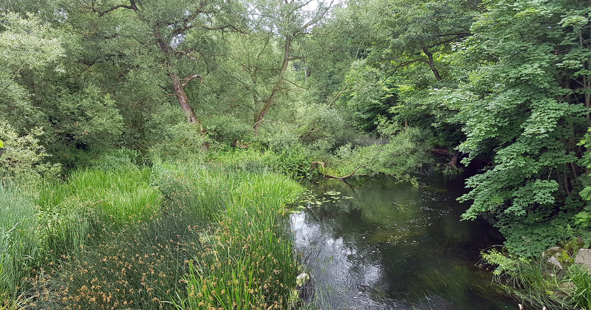 Beautiful view of the Kävlinge creek north of Lund