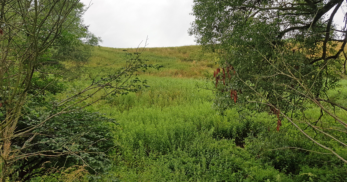 The ravine the Danish king fled up through during the Battle of Lund