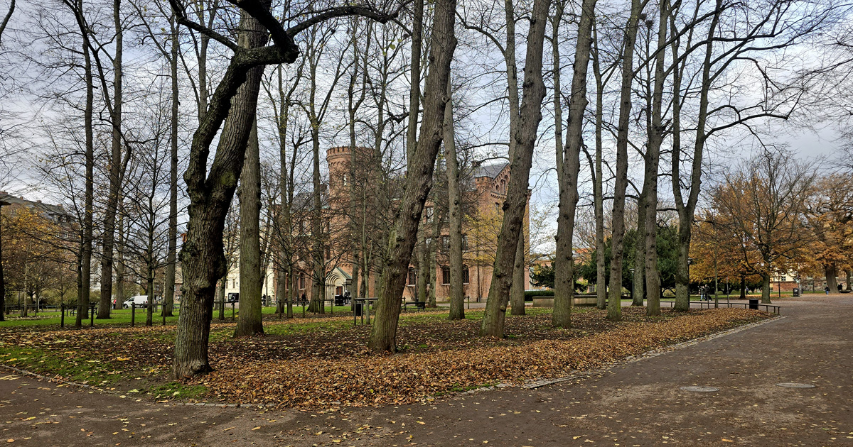 The park Lundagård in Lund with the King's house in the background