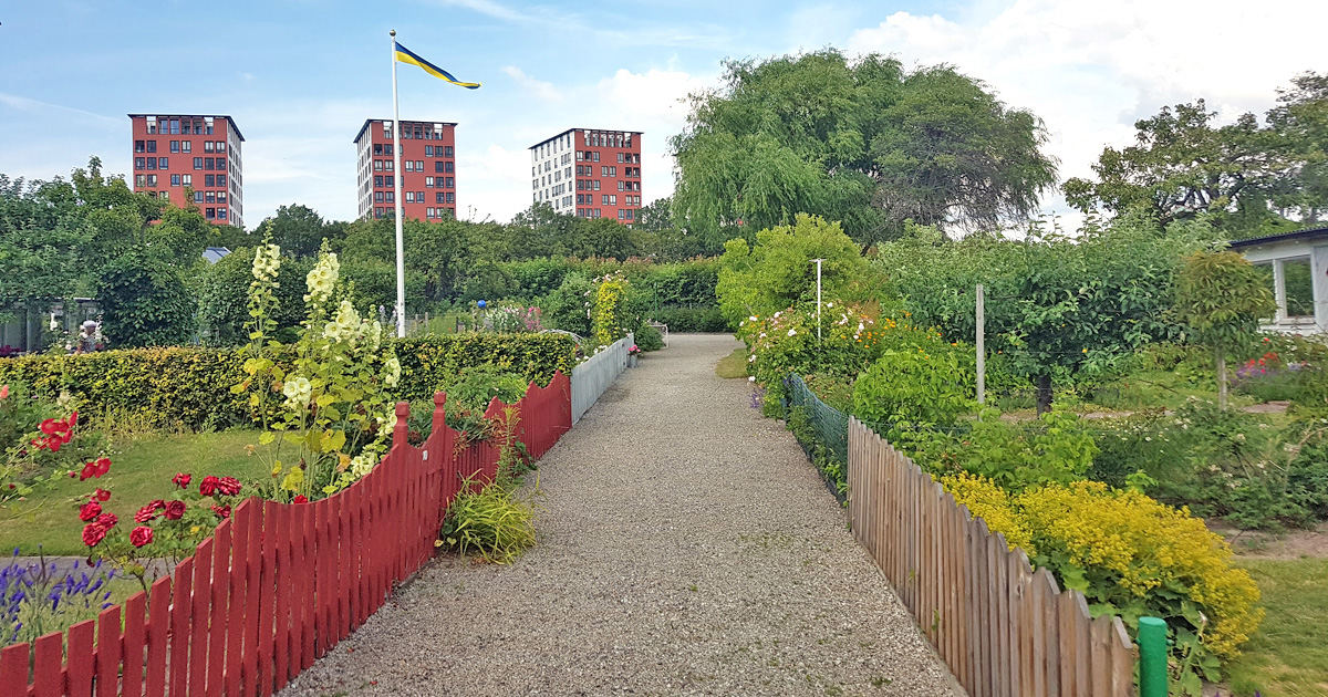 One of the 18 allotment areas in Lund which is open for visitors during the summer